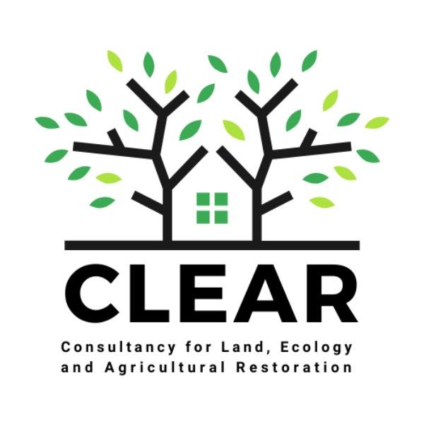 Career @ Clear